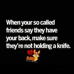 Meet your Posher, Belisha